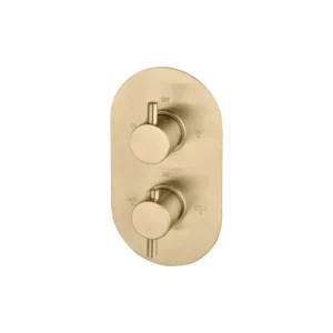 Two Outlet Shower Valve - Brushed Brass