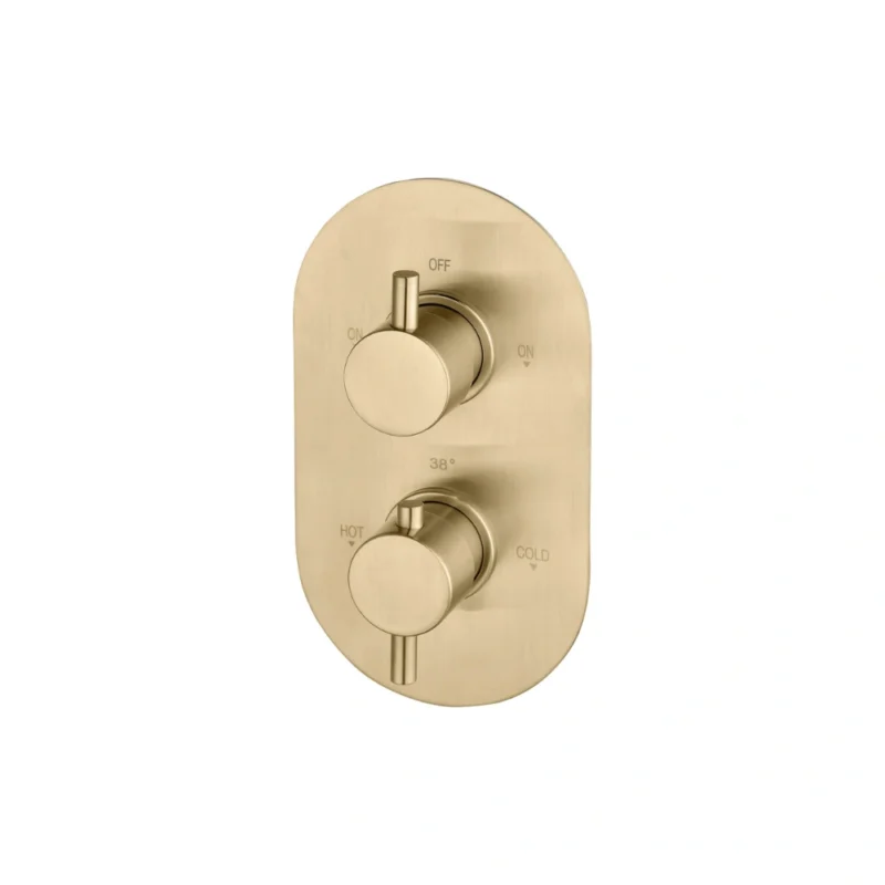 Two Outlet Shower Valve - Brushed Brass