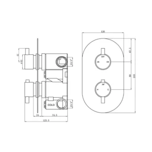 Two Outlet Shower Valve - Brushed Brass