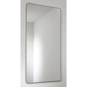 Abode Mayar 450 x 900mm Tablet Mirror – Matt Black / Brushed Brass